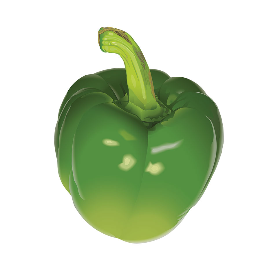 Green pepper vector illustration